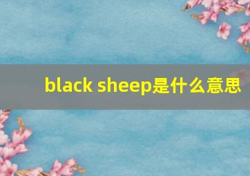 black sheep是什么意思